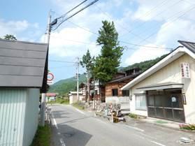 道路脇に古民家が立ち並び、青々とした大きな木が立っている写真
