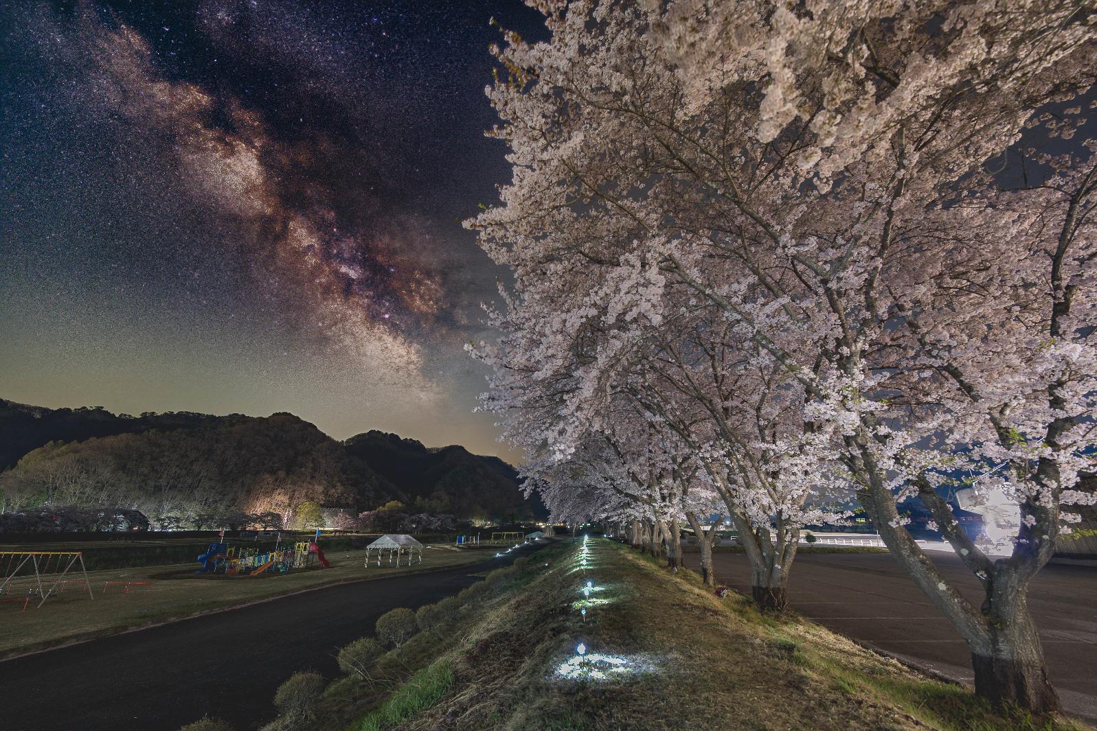 グランプリ_星と花と遊び場と_びわのかげ運動公園_鈴木陽平