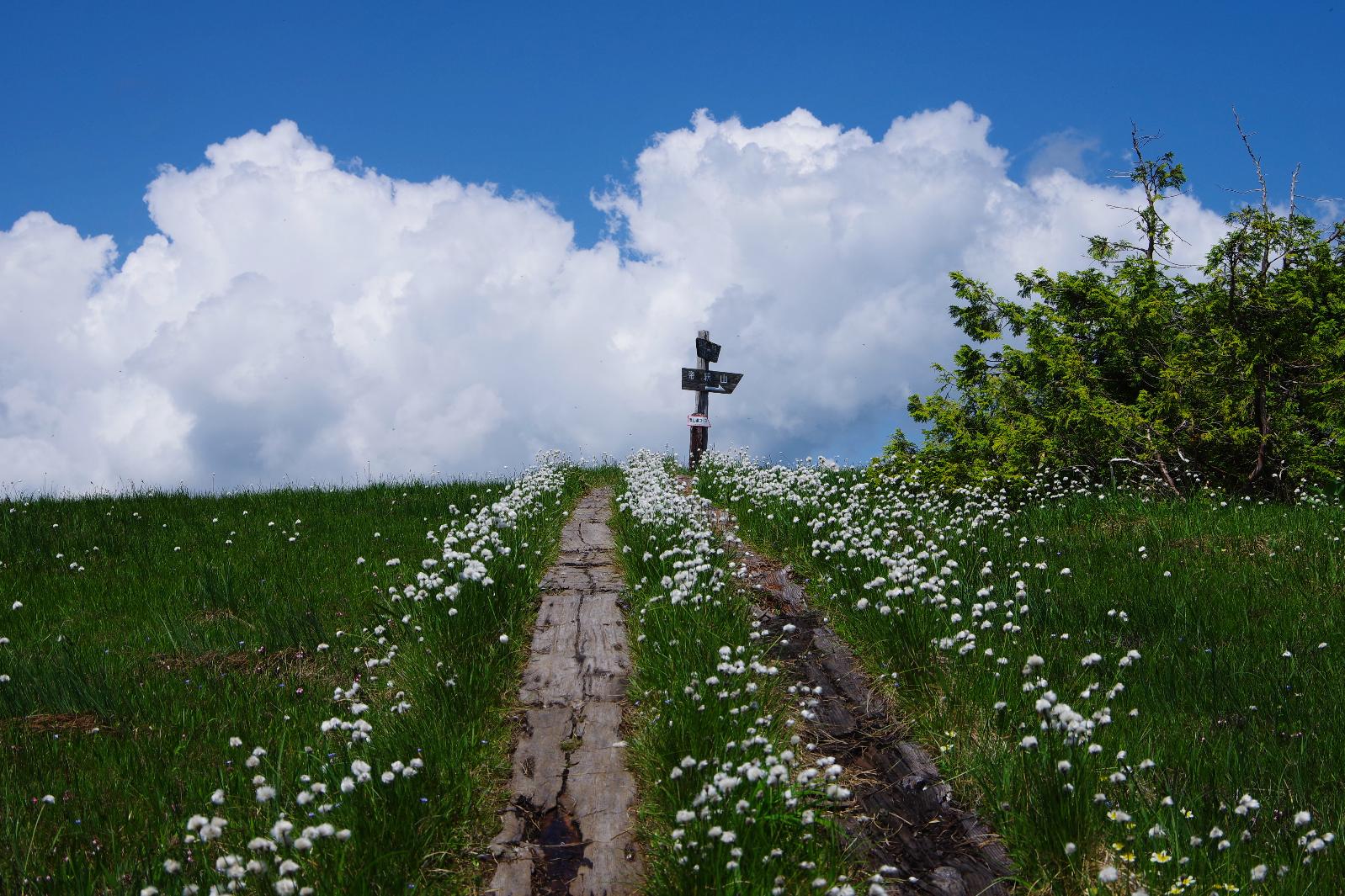 インスタ_銅賞_楽園への坂道_田代山山頂付近_染谷佳男