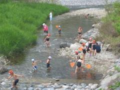 水着に帽子を被った子供たちが川に入り魚などを探している様子の写真