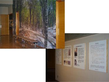 左：ロビーの壁に大きなブナ林の写真が写された写真、右：壁に展示物が展示された写真
