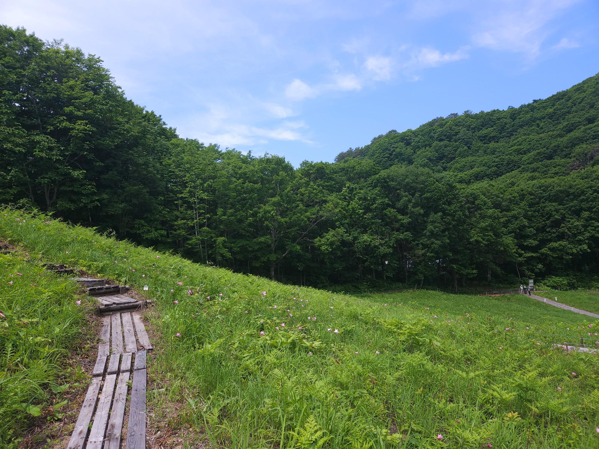 240613_himesayuri_t_05