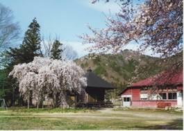 赤色の木造づくりの建物の横には子安地蔵堂が建ち、周辺にしだれ桜などの木が立っている写真